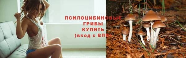 тгк Алексеевка