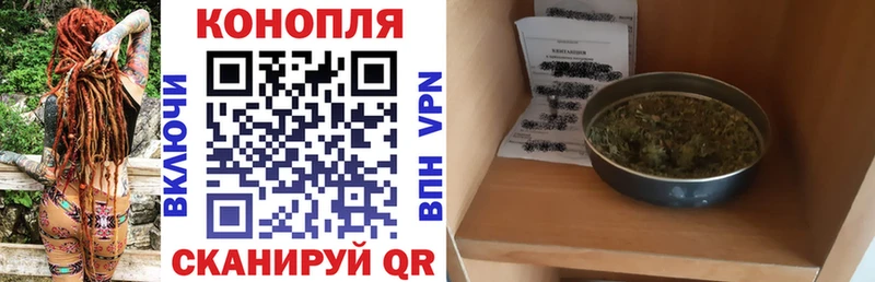 Бошки марихуана семена  блэк спрут ТОР  Фролово 